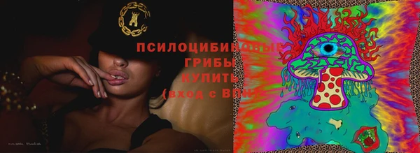 соль курить ск Бородино